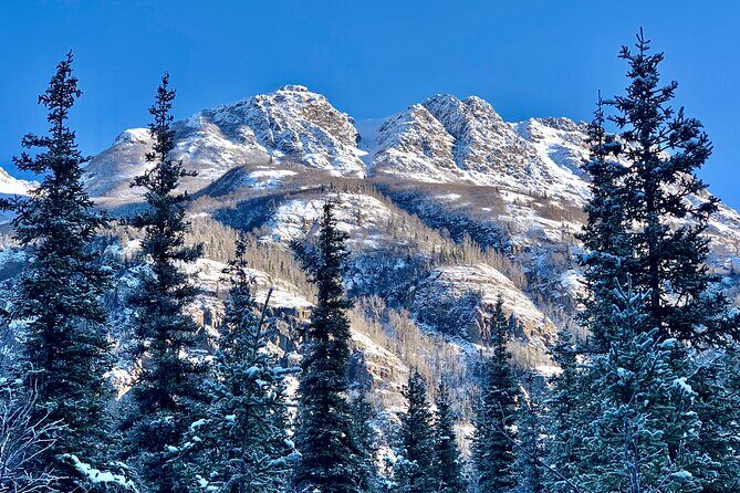 Winter Valley and Forest Hike - FAQ