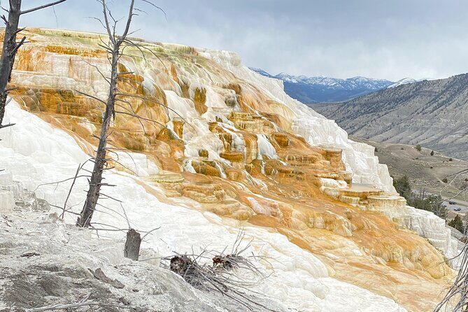 Winter Wildlife Safari: Lamar Valley | Gardiner | PRIVATE + Lunch - FAQ