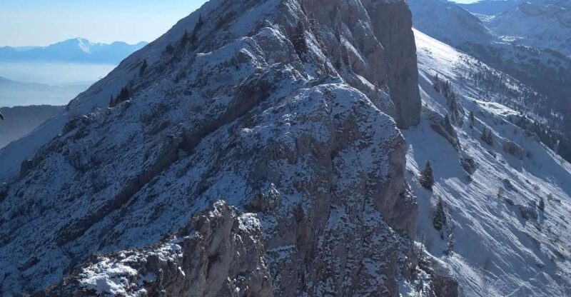 Winter Wonderland Expedition, Snowshoe Journey into the wild - What to Expect from the Snowshoe Adventure