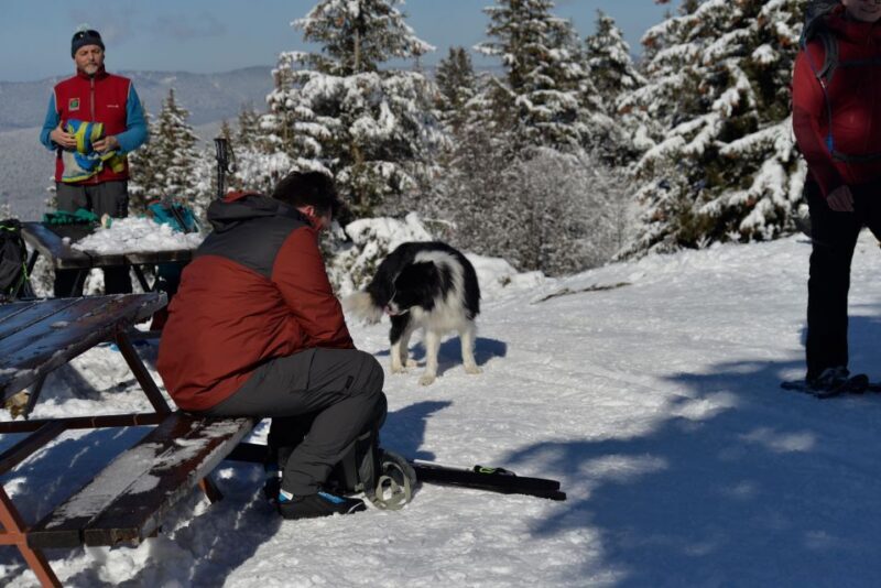 Winter Wonderland Expedition, Snowshoe Journey into the wild - Final Thoughts