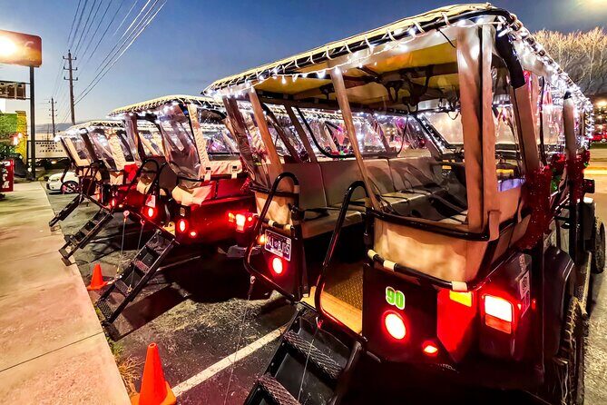 Winterfest Scenic Evening Tour - What to Expect on the Winterfest Scenic Evening Tour