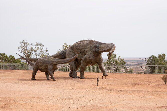 Winton Discovery Day Tour - An Overview of What the Tour Offers