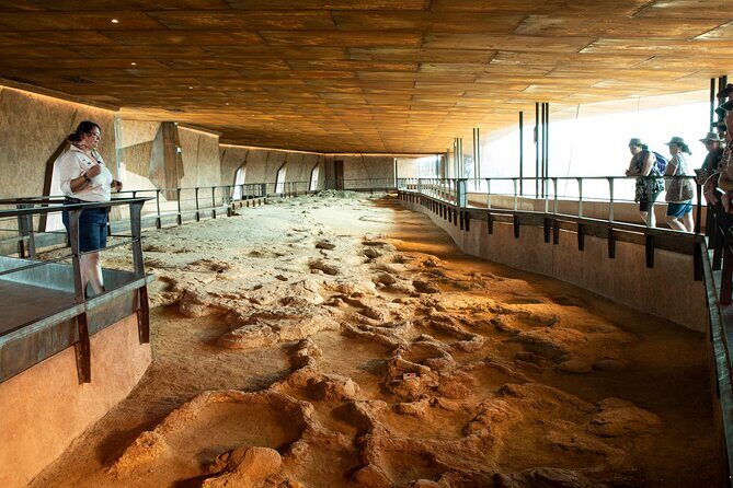 Winton Discovery Day Tour - What Travelers Say