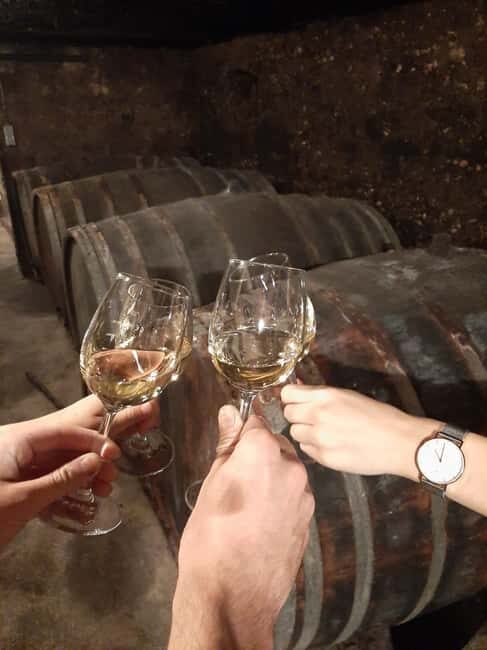 Wintrich: Wine tasting and winery tour - Key Points