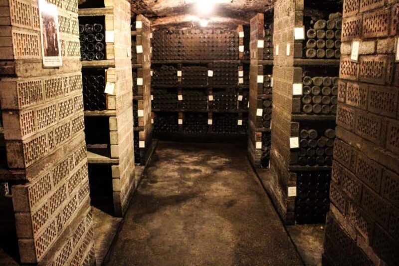 Wintrich: Wine tasting and winery tour - Exploring the Winery Tour: What You Can Expect