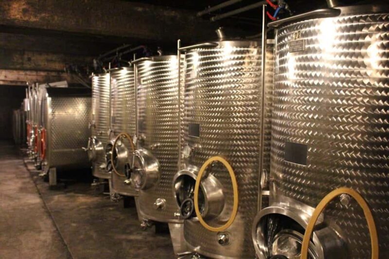 Wintrich: Wine tasting and winery tour - Final Thoughts: Who Should Consider This Tour?