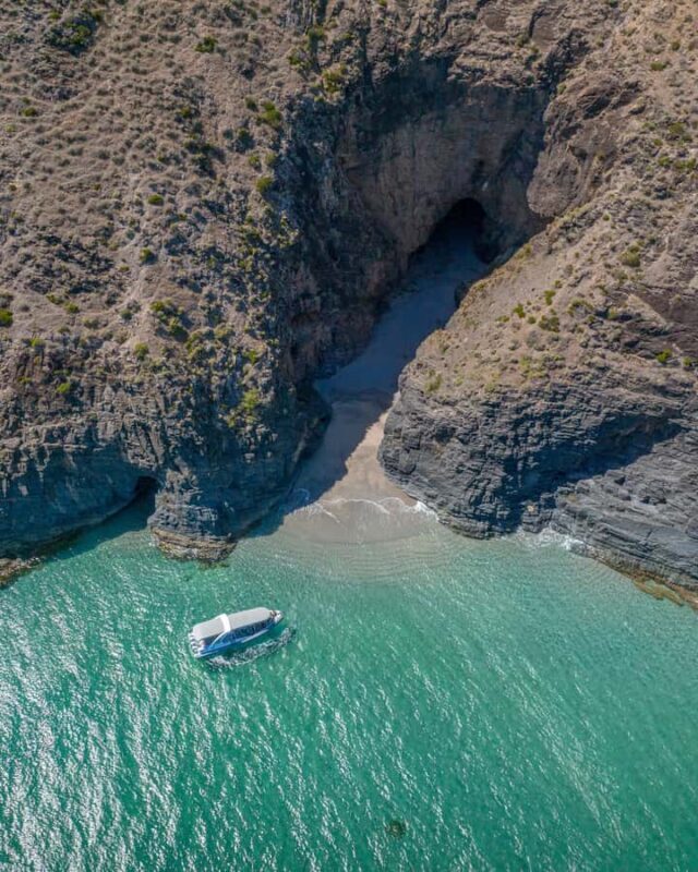 Wirrina Cove: Coastal Sightseeing Boat Tour with Seal Colony - What to Expect on the Tour