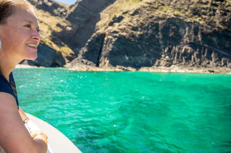 Wirrina Cove: Coastal Sightseeing Boat Tour with Seal Colony - Who Should Consider This Tour?