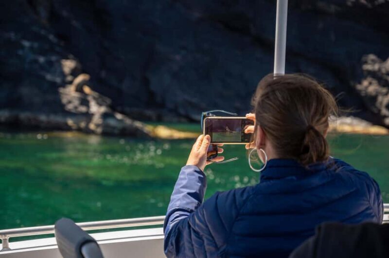 Wirrina Cove: Coastal Sightseeing Boat Tour with Seal Colony - Final Thoughts