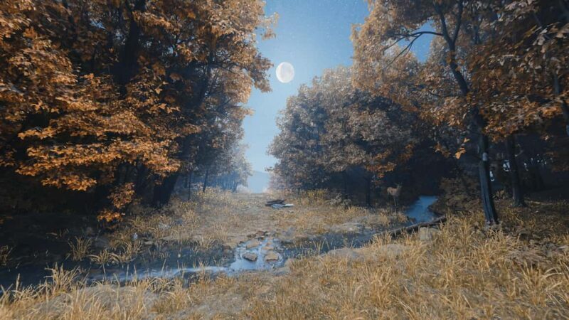 With Francis - immersive VR experience in Assisi - FAQs