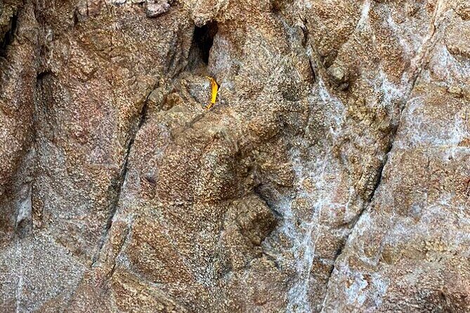 Wixárika Sacred Ritual: Purify your spirit in nature - Practical Details to Keep in Mind