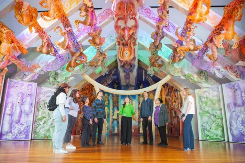 WLG: Museum of NZ Mori Highlights Tour & General Admission - What to Expect from the Tour