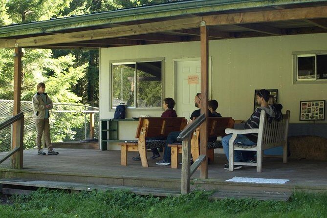 Wolf Experience - Final Thoughts