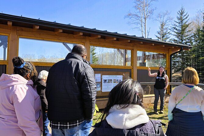 Wolfdog Sanctuary and Banff Day Trip - Frequently Asked Questions