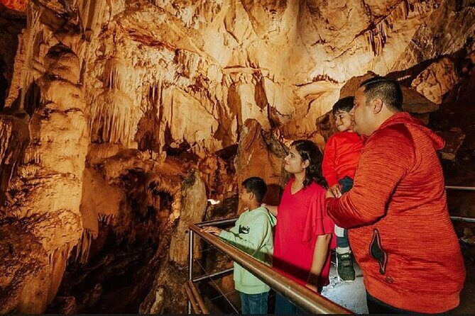 Wombeyan Caves: Fig Tree Cave Tour - Key Points