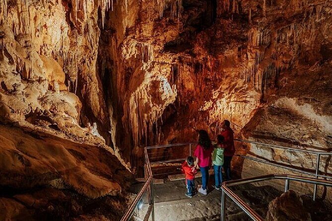 Wombeyan Caves: Fig Tree Cave Tour - What to Expect from the Tour
