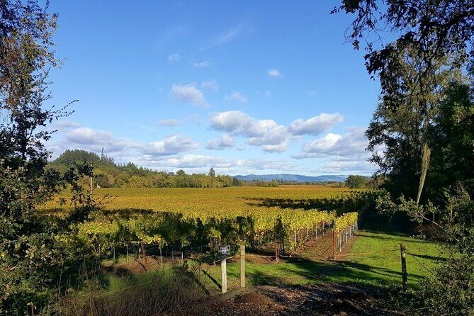 Women Only 5 day California Vineyards, Waves and Wine Tour - Day 3: Scenic Bike Ride & Wine Tasting in Russian River Valley