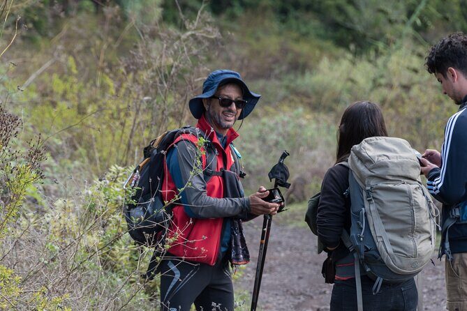 Wonderful hike through the Magic Forest of Tenerife - Practical Details and Recommendations