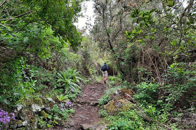 Wonderful hike through the Magic Forest of Tenerife - Final thoughts