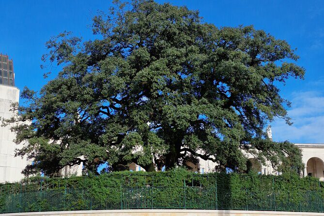 Wonderful Private Half-day tour in Fátima - Who Should Consider This Tour?