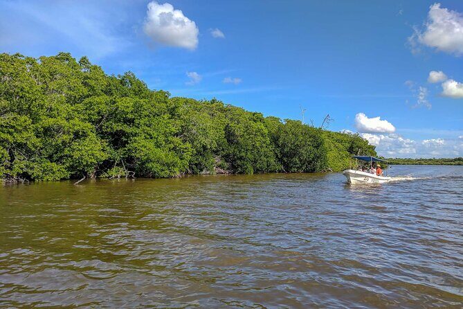 Wonderful Tour Las Coloradas & Buffete only from Cancun - Final Thoughts