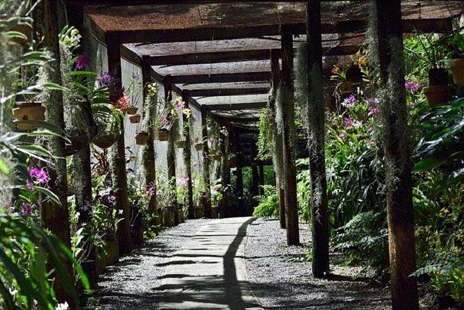 Wonders of Nadi Tour - Hindu Temple, Sleeping Giant Gardens, Markets & Shopping - Frequently Asked Questions