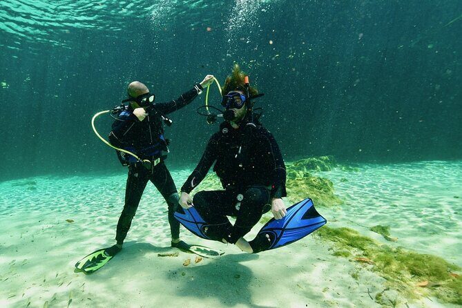 Wonders of the Underwater World: Discover Scuba Diving in Tulum - What is this tour all about?