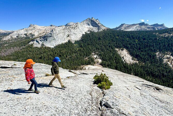 Wonders of Yosemite: Kid Friendly Private Tour - What Makes This Tour Stand Out?