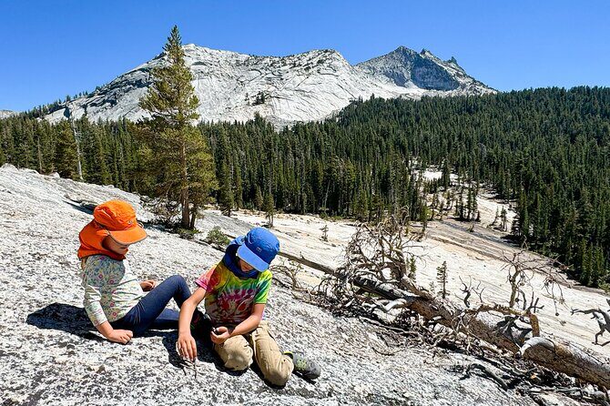 Wonders of Yosemite: Kid Friendly Private Tour - Price and Value