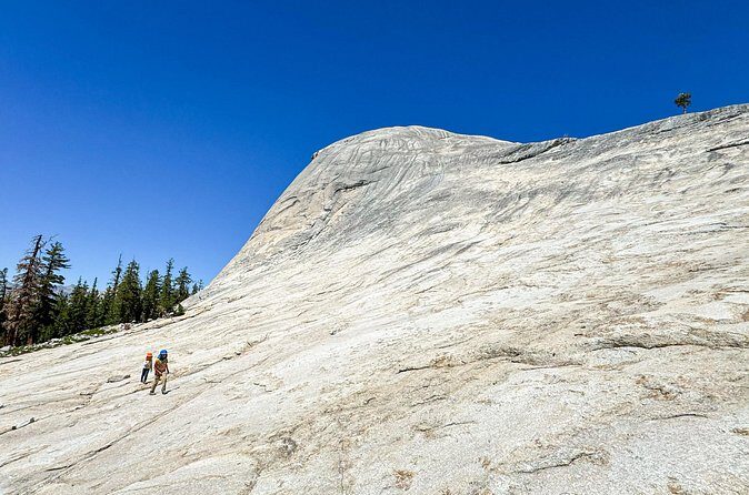 Wonders of Yosemite: Kid Friendly Private Tour - The Sum Up: Is It Right for You?