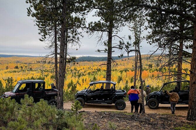 Woodland Park: 2 Hour Guided Wildlife Sunset UTV Tour - You Drive - Starting Point and Initial Community Drive