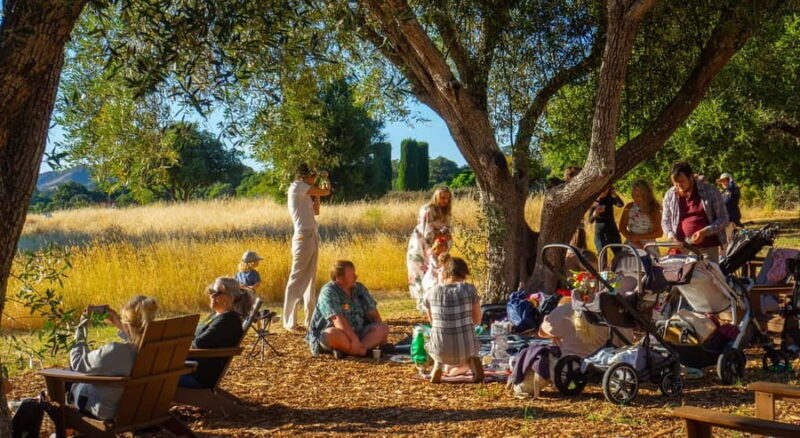 Woodside: Filoli Historic House and Garden Entry Ticket - A Walk Through the Estate: What to Expect