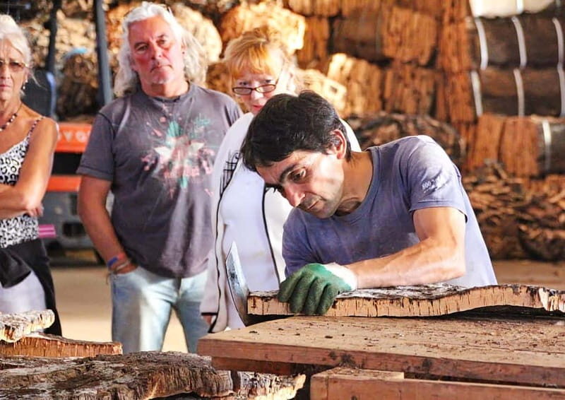 Workshop Cork Necklace, Bracelet, Brooch and Keychain - Key Points