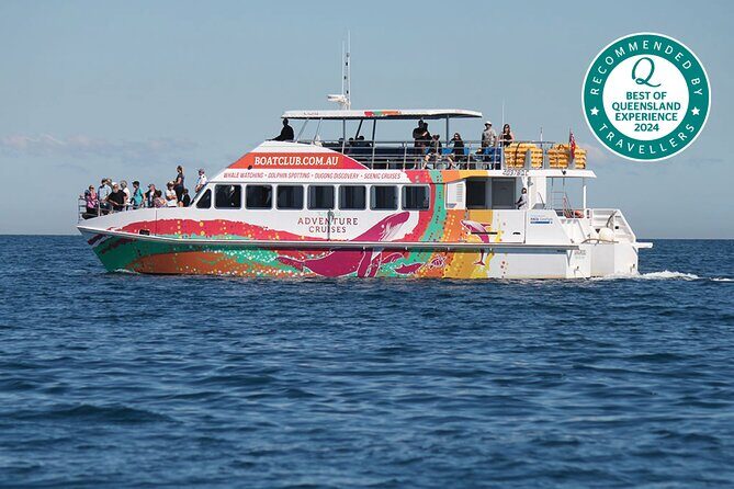 World class Whale Watching from Hervey Bay - Final Thoughts: Is This Tour Right for You?