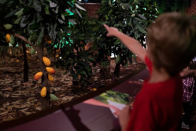 WOW Ticket: The Chocolate Experience by 20|20 - Key Points