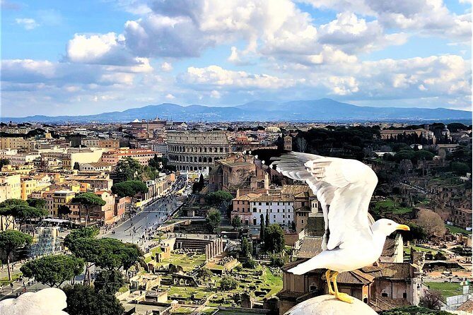 WOW Tour: Coliseum, Vatican, Squares, Luxury Car, Tickets, Lunch - Transportation and Comfort