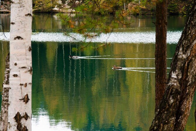 Wroclaw to Rock City in Adrsprach - How the Day Unfolds: Itinerary in Detail