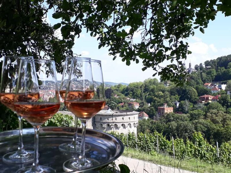 Wuerzburg: Vineyard rally with wine tasting and group dynamics - Key Points