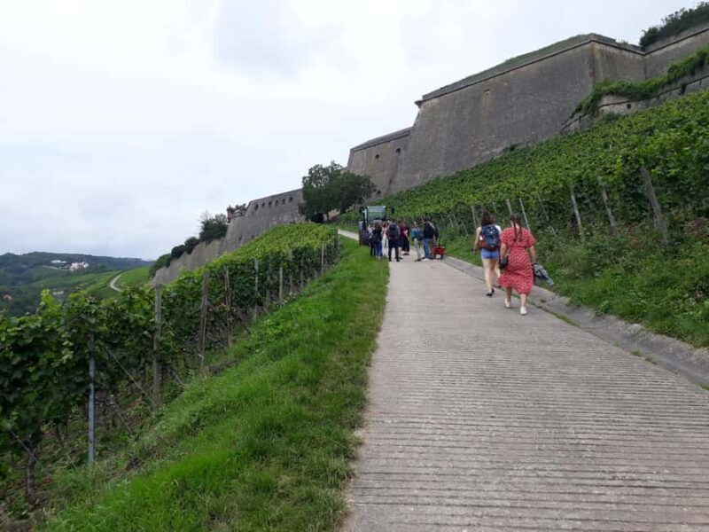 Wuerzburg: Vineyard rally with wine tasting and group dynamics - Who Should Consider This Tour?