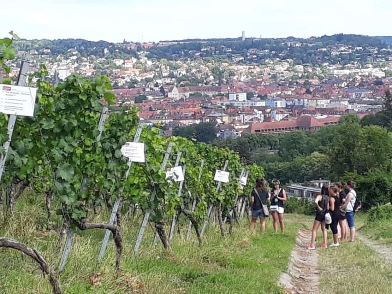 Wuerzburg: Vineyard rally with wine tasting and group dynamics - Final Thoughts