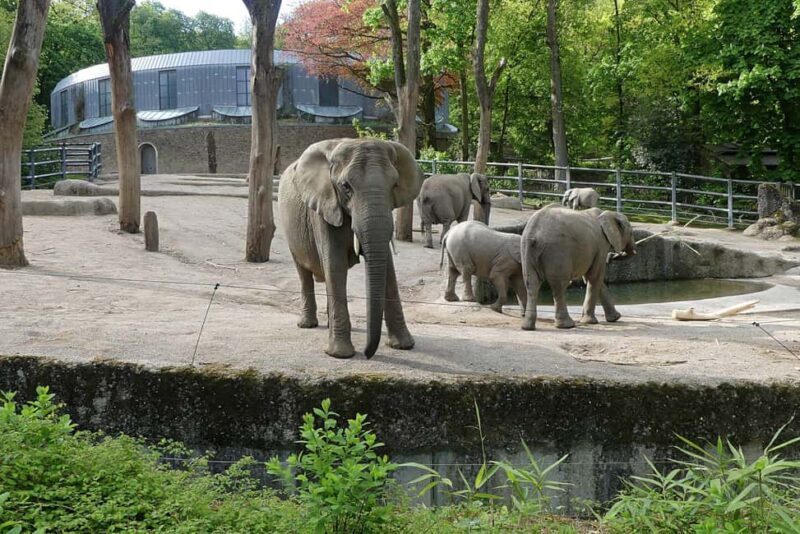 Wuppertal: Admission to the Green Zoo Wuppertal - Who Is This Zoo Best For?