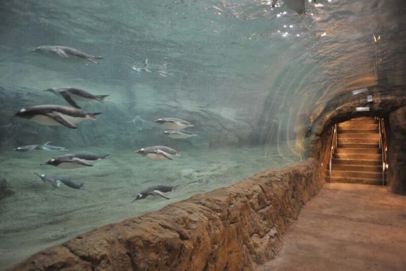 Wuppertal: Admission to the Green Zoo Wuppertal - The Sum Up