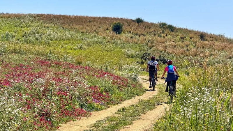 WWF E-BIKE TOUR | Riserva Naturale di Torre Salsa Con pranzo - The Experience in Detail