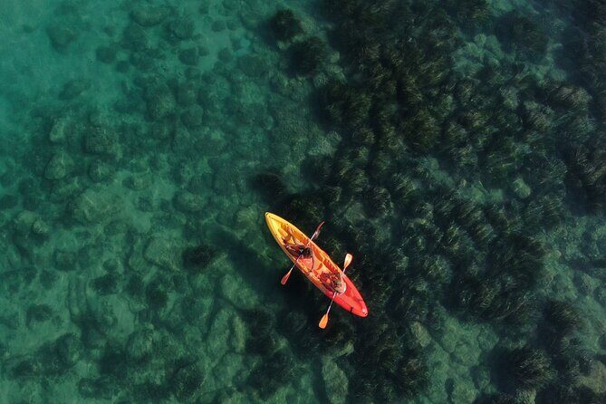 WWF Kayak Tour from Cala Manbrù to Torre Salsa Reserve - Key Points