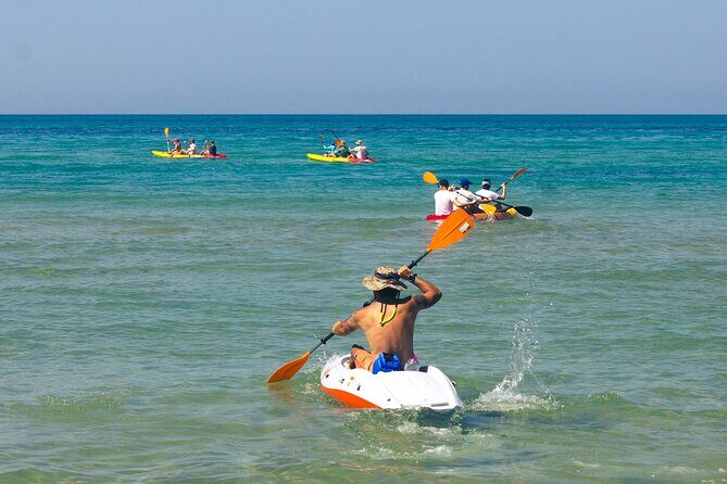 WWF Kayak Tour from Cala Manbrù to Torre Salsa Reserve - An Overview of the Experience