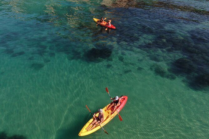 WWF Kayak Tour from Cala Manbrù to Torre Salsa Reserve - The Experience Through the Eyes of Past Travelers