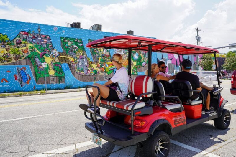 Wynwood Art District 1-Hour Wynwood Buggies Street Art Tour - The Experience: What You Will See and Do