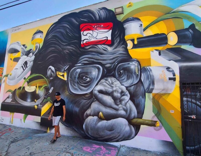 Wynwood walking tour in French (2h) - Key Points