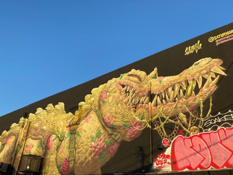 Wynwood walking tour in French (2h) - Meeting Point and Logistics