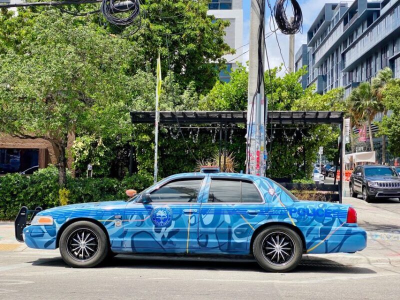 Wynwood walking tour in French (2h) - Street Art as a Voice